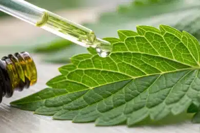 Une image d'une feuille d'absinthe avec une pipette d'huile essentielle, symbolisant son usage en phytothérapie.
