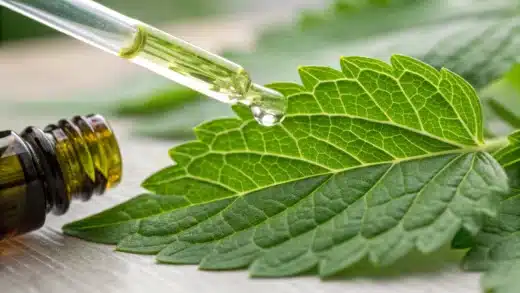 Une image d'une feuille d'absinthe avec une pipette d'huile essentielle, symbolisant son usage en phytothérapie.